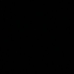 Meet your Posher, Savannah